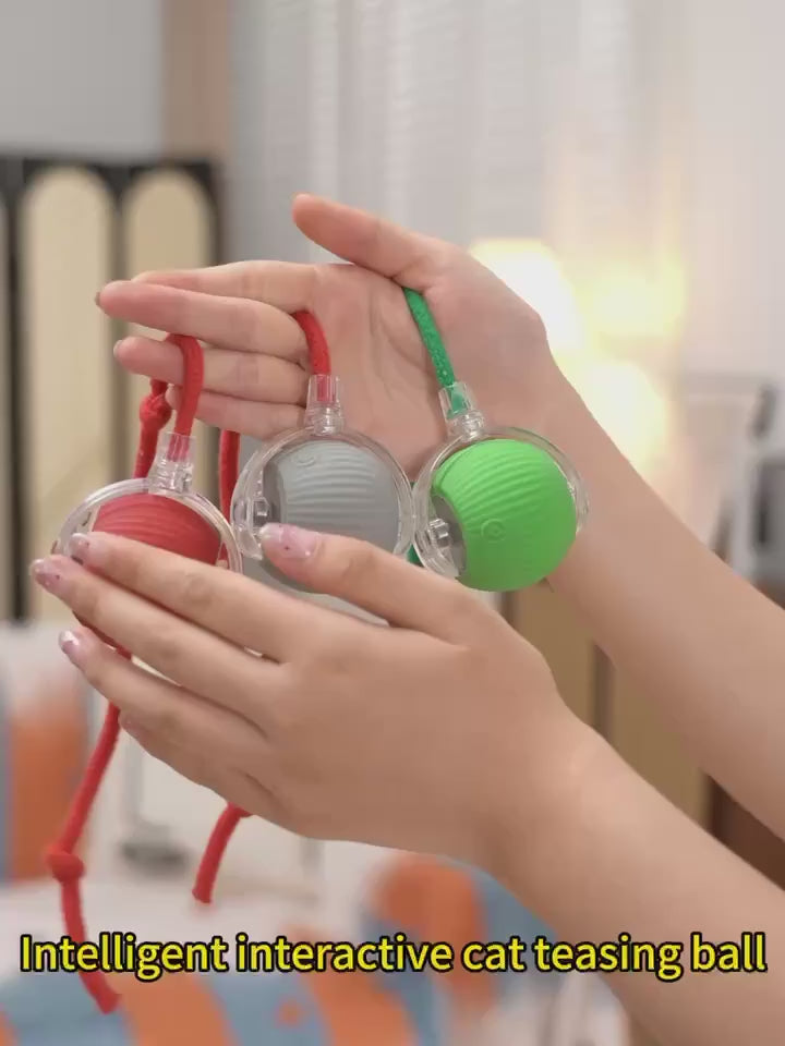Wiggly™ Smart Rolling Ball