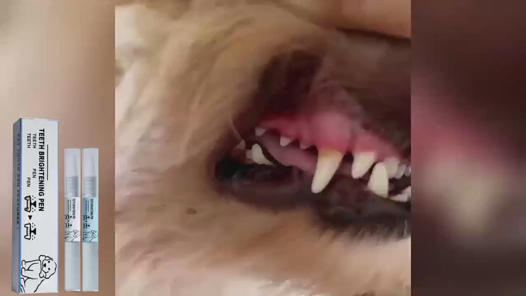 Wiggly™ Tooth Brush Pen