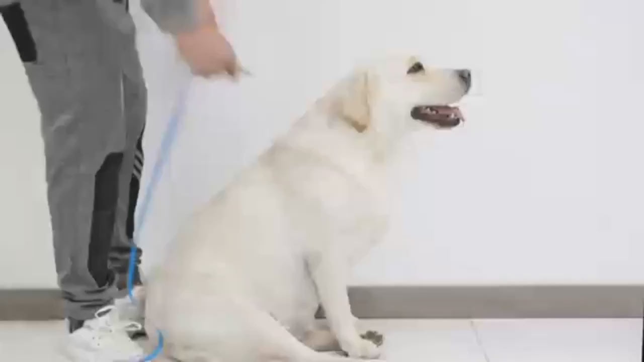 Wiggly™ NoPull Harness