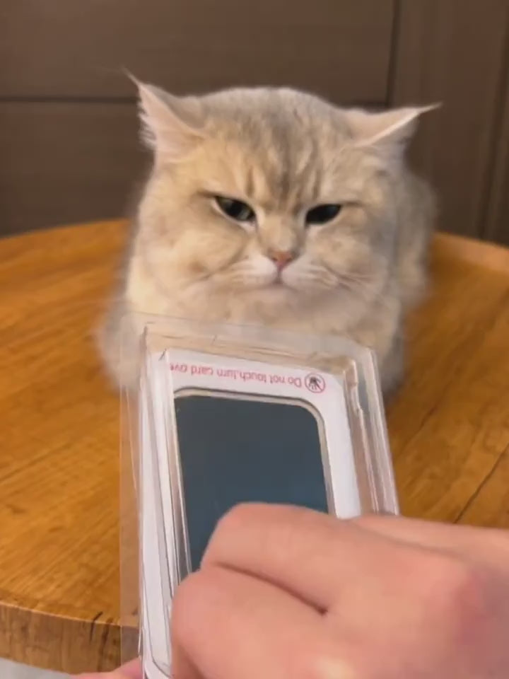 Wiggly™ PawMemory Pad