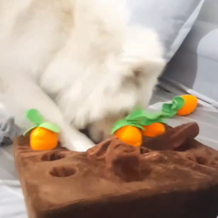 Wiggly™ CarrotQuest Toy